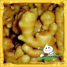 China fresh ginger/ price of fresh ginger/ Chinese fresh ginger factory